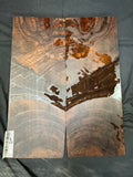 #1911 walnut Instrument set