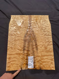 #1726 quilted maple Instrument set