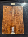 #1468 quilted maple Instrument set