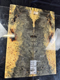 #1543 Buckeye burl Instrument set