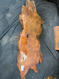 #1946 Redwood Burl slab