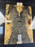 #1543 Buckeye burl Instrument set