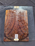 #1457 (B) curly walnut Instrument set