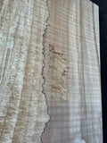 #1407 Curly Spalted Instrument Set