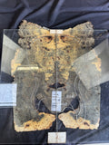 #1477 Buckeye burl Instrument set