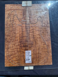 #1469 quilted maple Instrument set