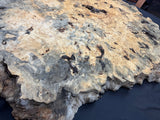 50” Buckeye Burl round