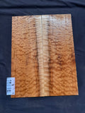 #1461 (B) quilted maple Instrument set