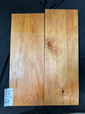 #1995 Alder solid body set