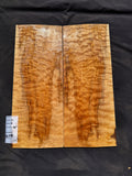#1459 (B) quilted maple Instrument set
