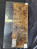 #1483 myrtle burl Instrument billet