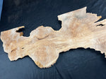 #1179 Curly Maple Burl plaque