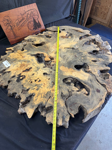 55” Buckeye Burl round