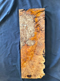 #1504 Spalted maple burl Instrument billet