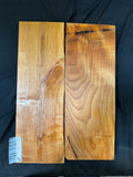 #1991 Alder solid body set