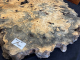 50” Buckeye Burl round