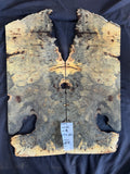 #1478 Buckeye burl Instrument set
