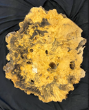 Buckeye Burl Plaque