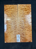 #2161 Quilted maple Instrument set