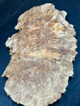 #1180 Maple Burl Plaque