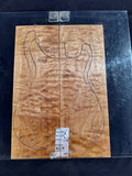 #1719 quilted maple Instrument set