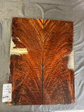 #1535 feathered claro walnut Instrument set
