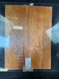 #1992 Alder solid body set