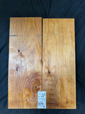#1994 Alder solid body set