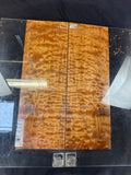 #1739 quilted maple Instrument set