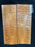 #1836 quilted maple Instrument set