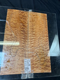 #1836 quilted maple Instrument set