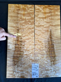 #1873 quilted maple Instrument set