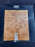 #1725 quilted maple Instrument set