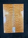 #2163 quilted maple Instrument set