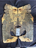 #1477 Buckeye burl Instrument set