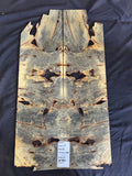 #1480 Buckeye instrument set