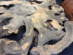 55” Buckeye Burl round