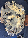 55” Buckeye Burl round
