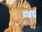 #1179 Curly Maple Burl plaque