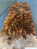 #1369 Claro Burl Black Walnut Instrument Billet