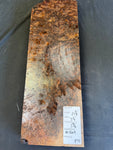#1369 Claro Burl Black Walnut Instrument Billet