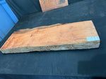 #1082 OG Redwood (Burl) Bench/Craft