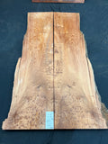 #1084 OG Redwood Curly Burl Bookmatch/River