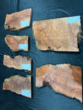 #1124 OG Redwood Burl Craft Bundle