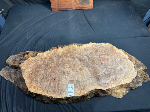 #1227 Maple Burl Plaque