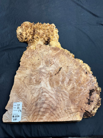 #1228 Maple Burl Plaque