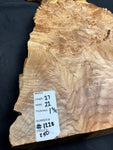 #1228 Maple Burl Plaque