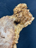 #1228 Maple Burl Plaque