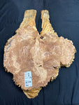 #1230 Maple Burl Plaque