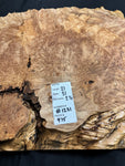 #1231 Maple Burl Plaque